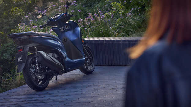 Honda SH350i in Gartenumgebung, Heckansicht.